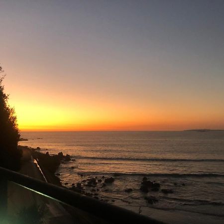 Pingueino En La Roca - Lodge Vina del Mar Exterior photo