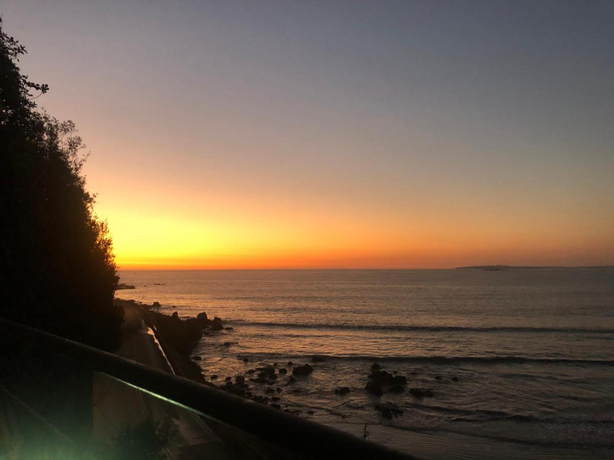 Pingueino En La Roca - Lodge Vina del Mar Exterior photo