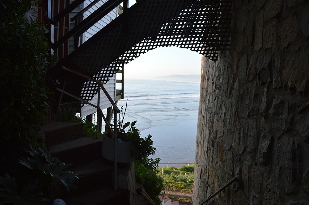 Pingueino En La Roca - Lodge Vina del Mar Exterior photo