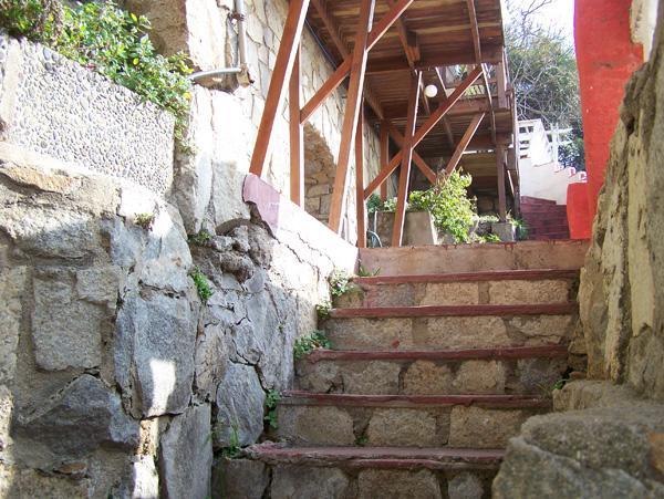 Pingueino En La Roca - Lodge Vina del Mar Exterior photo