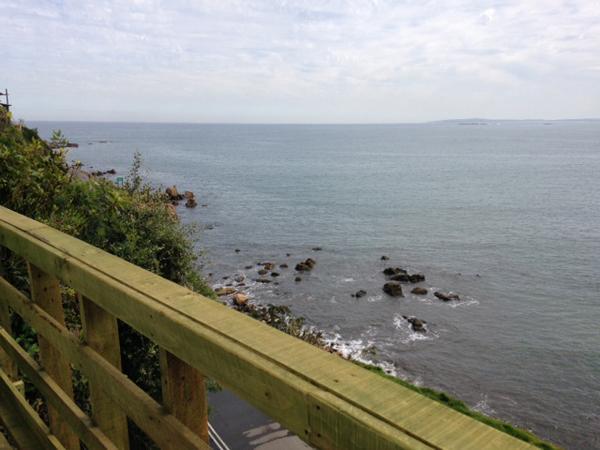 Pingueino En La Roca - Lodge Vina del Mar Exterior photo
