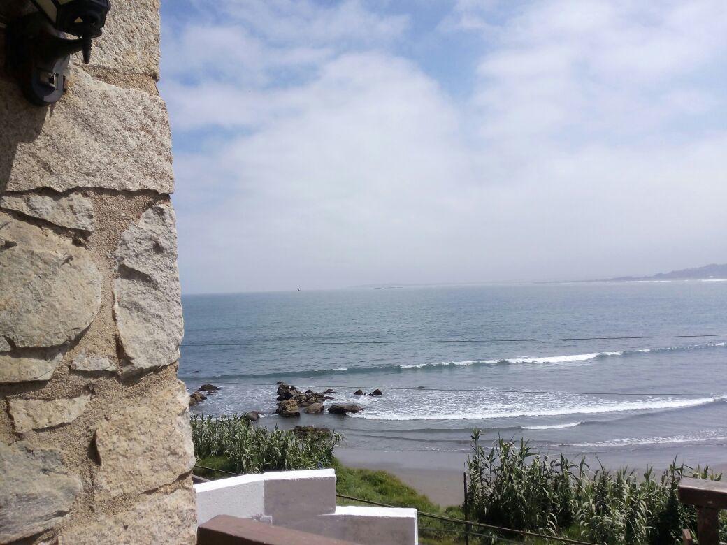 Pingueino En La Roca - Lodge Vina del Mar Exterior photo