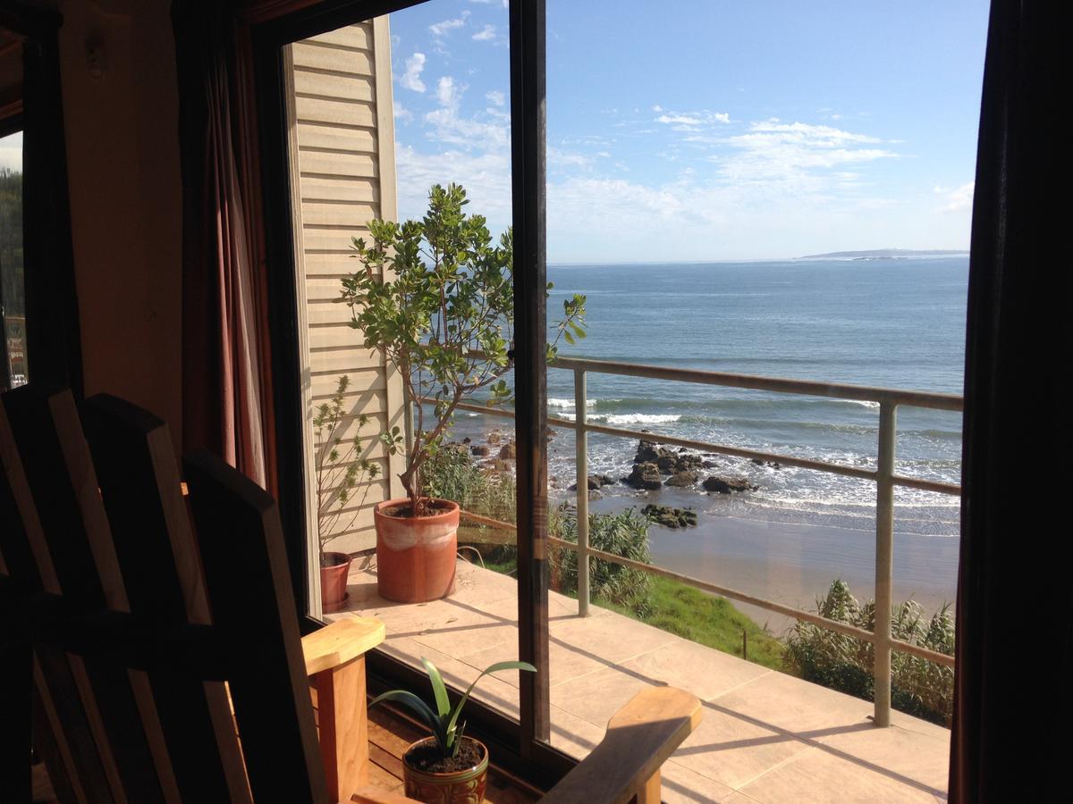 Pingueino En La Roca - Lodge Vina del Mar Exterior photo