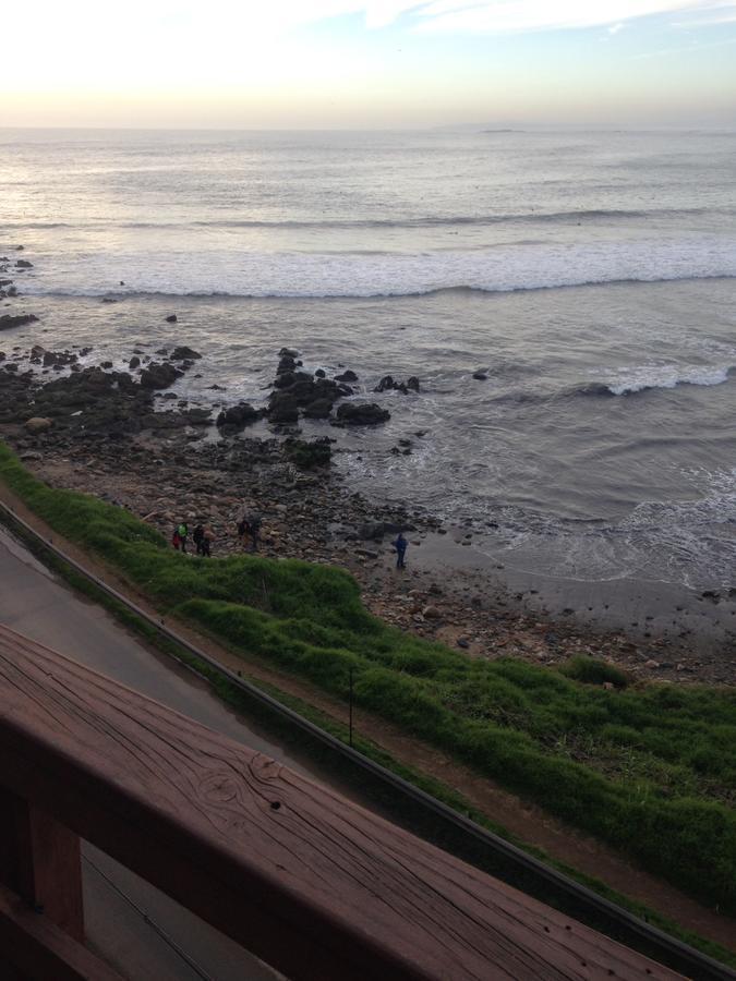 Pingueino En La Roca - Lodge Vina del Mar Exterior photo