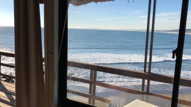 Pingueino En La Roca - Lodge Vina del Mar Exterior photo