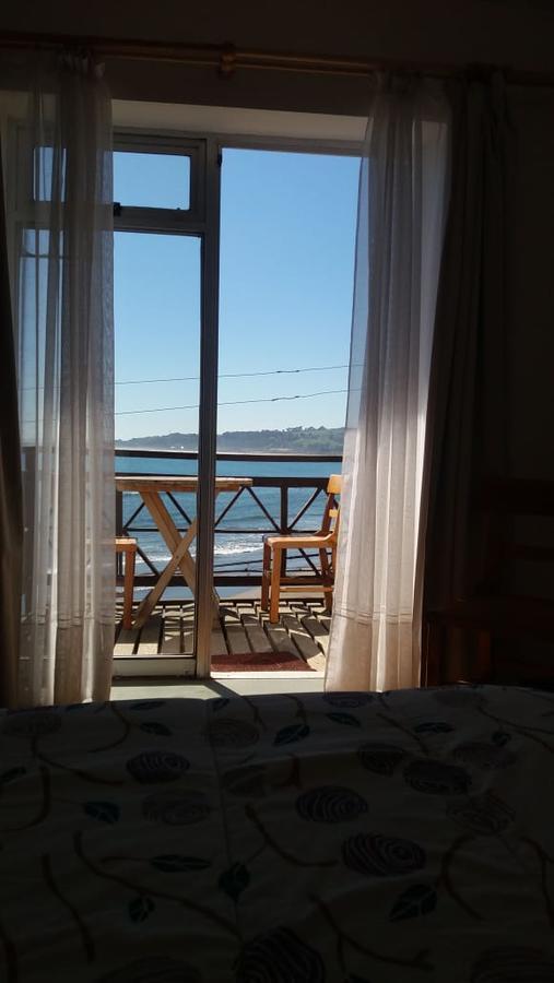 Pingueino En La Roca - Lodge Vina del Mar Exterior photo